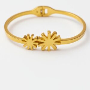 𝐂𝐞𝐥𝐞𝐬𝐭𝐢𝐚 𝐓𝐰𝐢𝐧-𝐒𝐭𝐚𝐫 𝐁𝐚𝐧𝐠𝐥𝐞